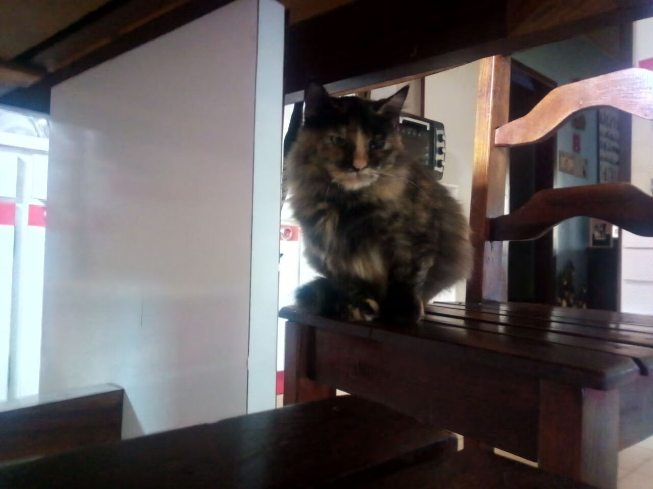 开云下载-舞台与命运，英超争冠夜的硝烟，为何锡安的故事在另一片球场回响？